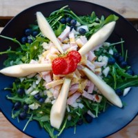 VENKEL - PEER - KIP SALADE